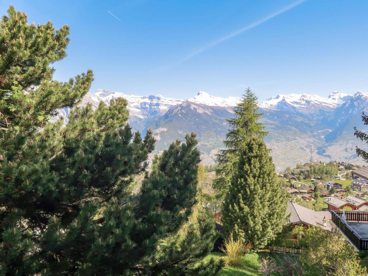 Chalet Les Etoiles By Interhome Nendaz Kültér fotó